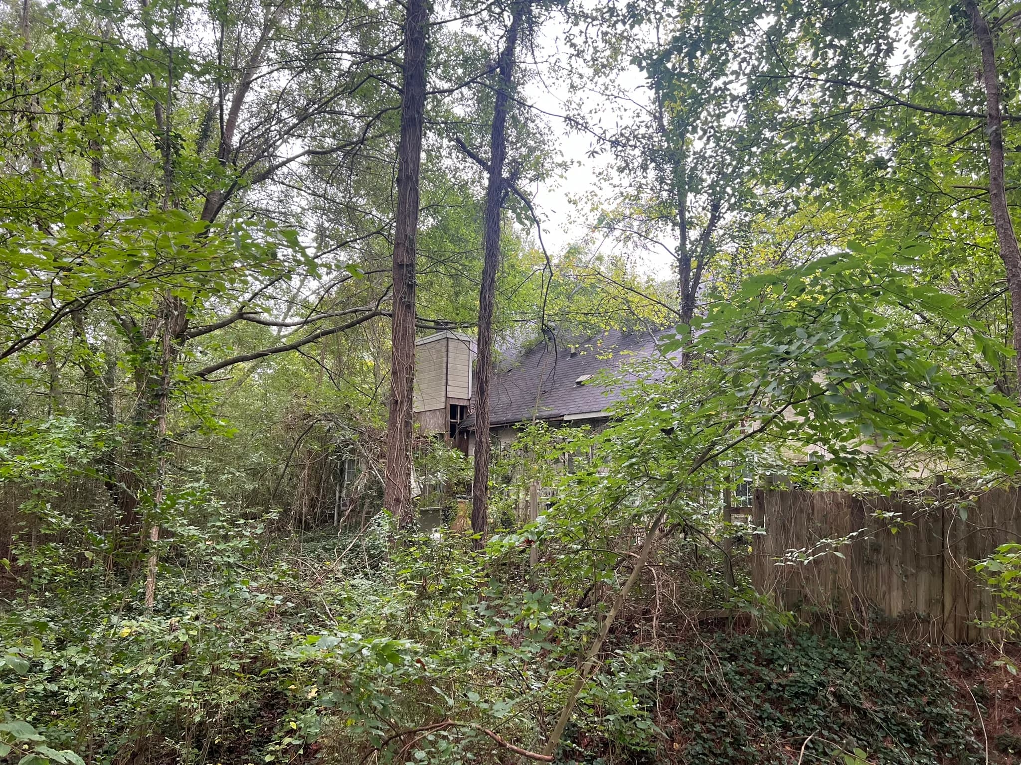 Residential Land Clearing and Landscaping Preparation