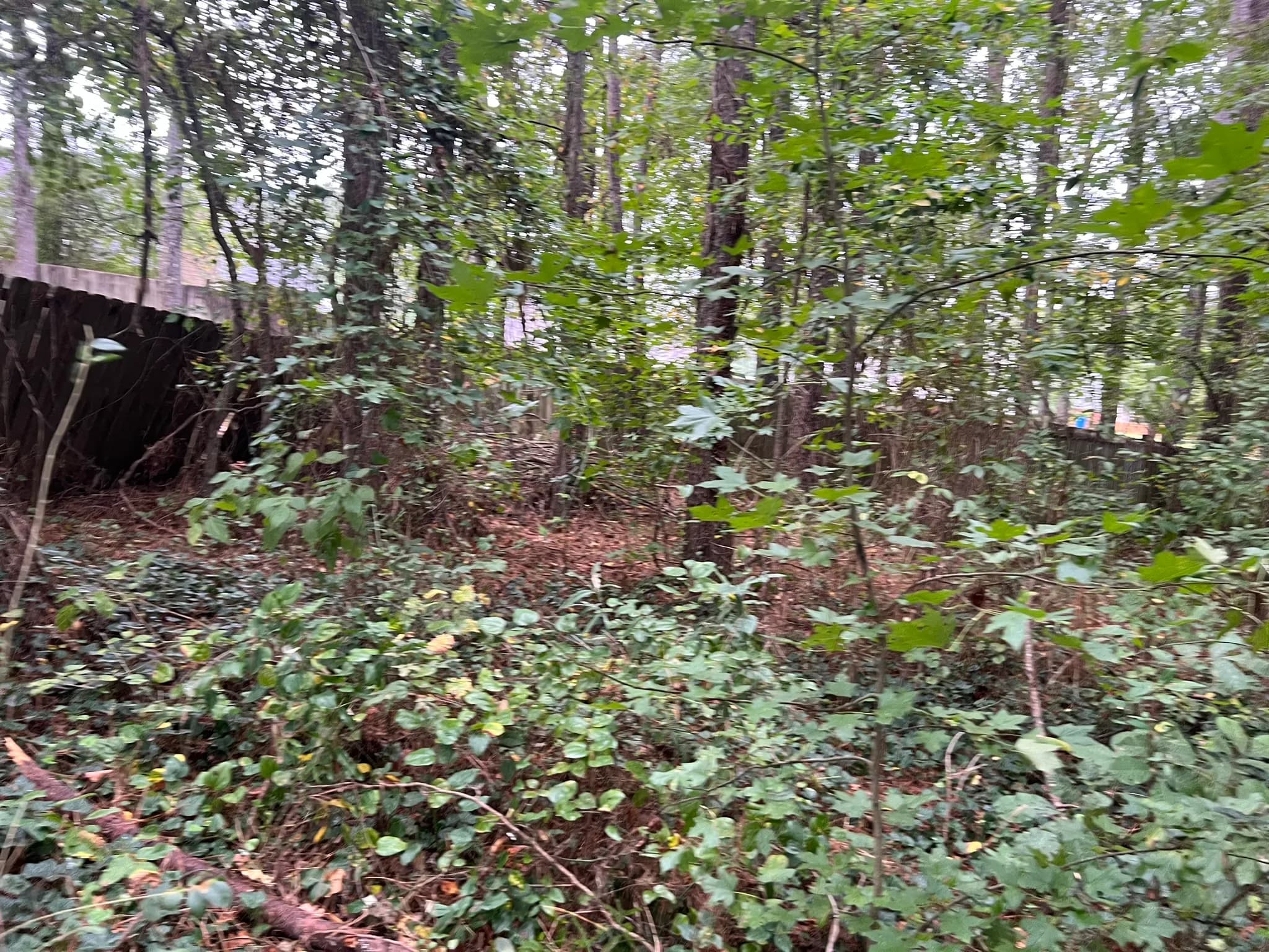 Residential Land Clearing and Landscaping Preparation — photo 21