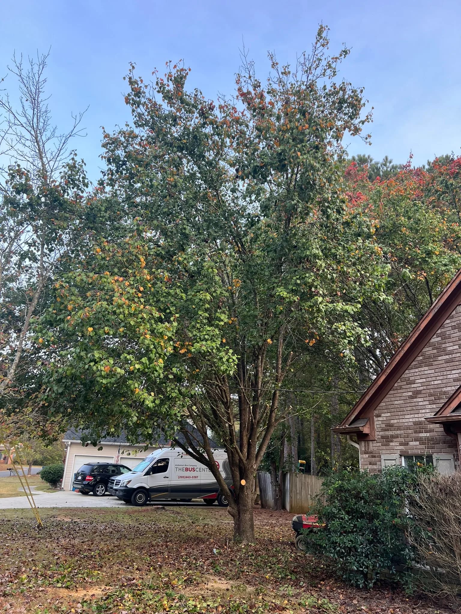 Residential Land Clearing and Landscaping Preparation — photo 24