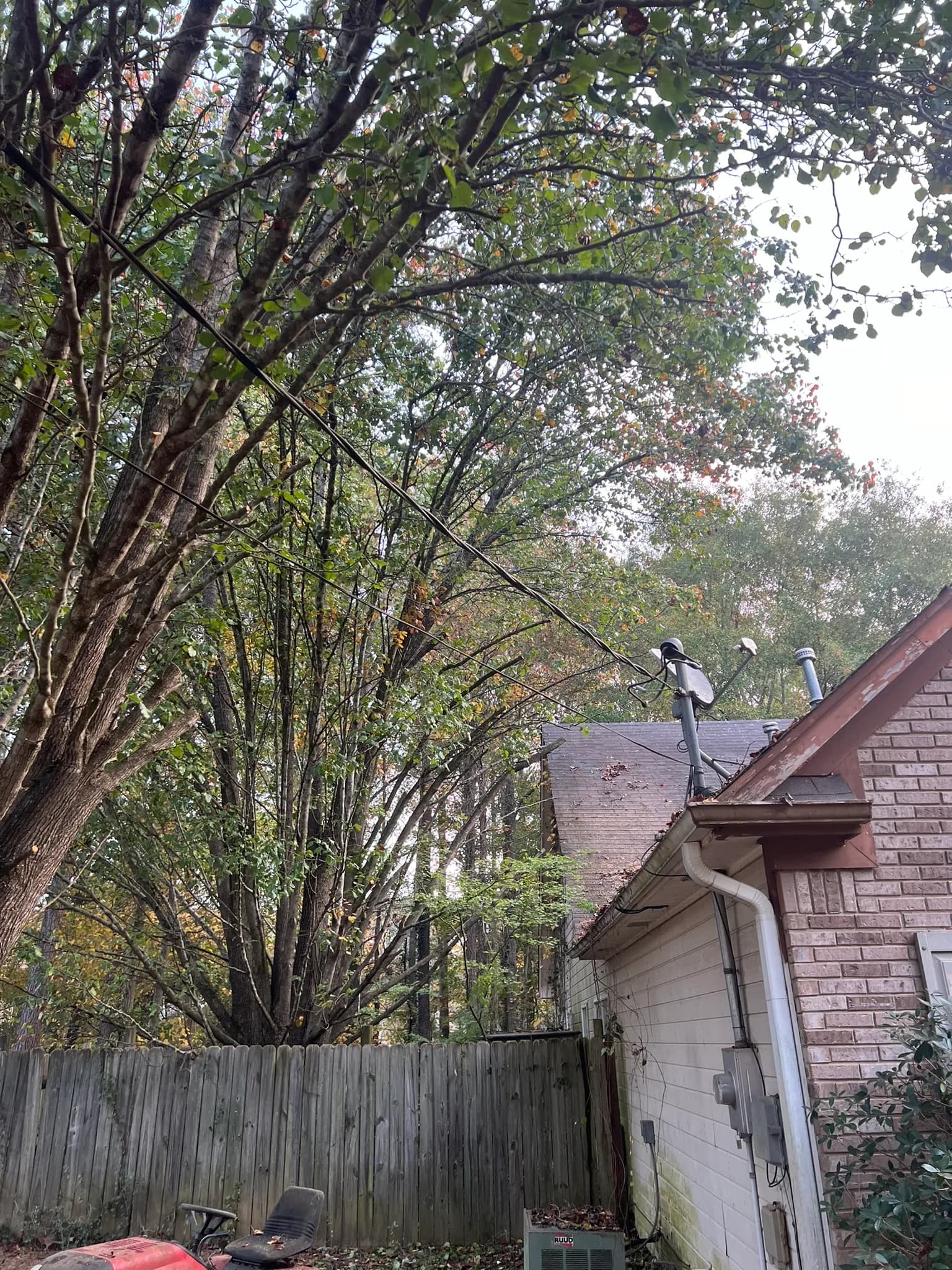 Residential Land Clearing and Landscaping Preparation — photo 17