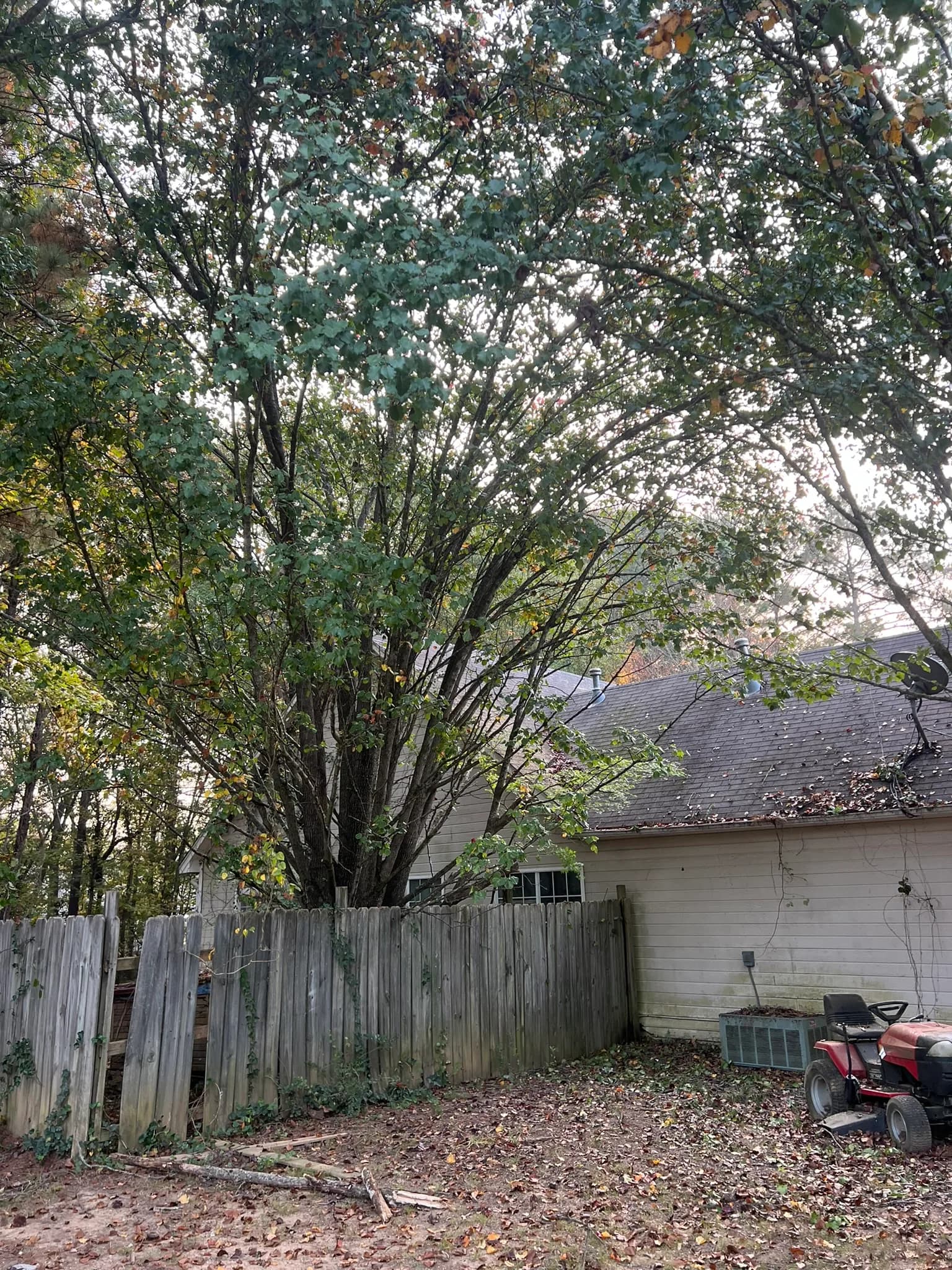 Residential Land Clearing and Landscaping Preparation — photo 38