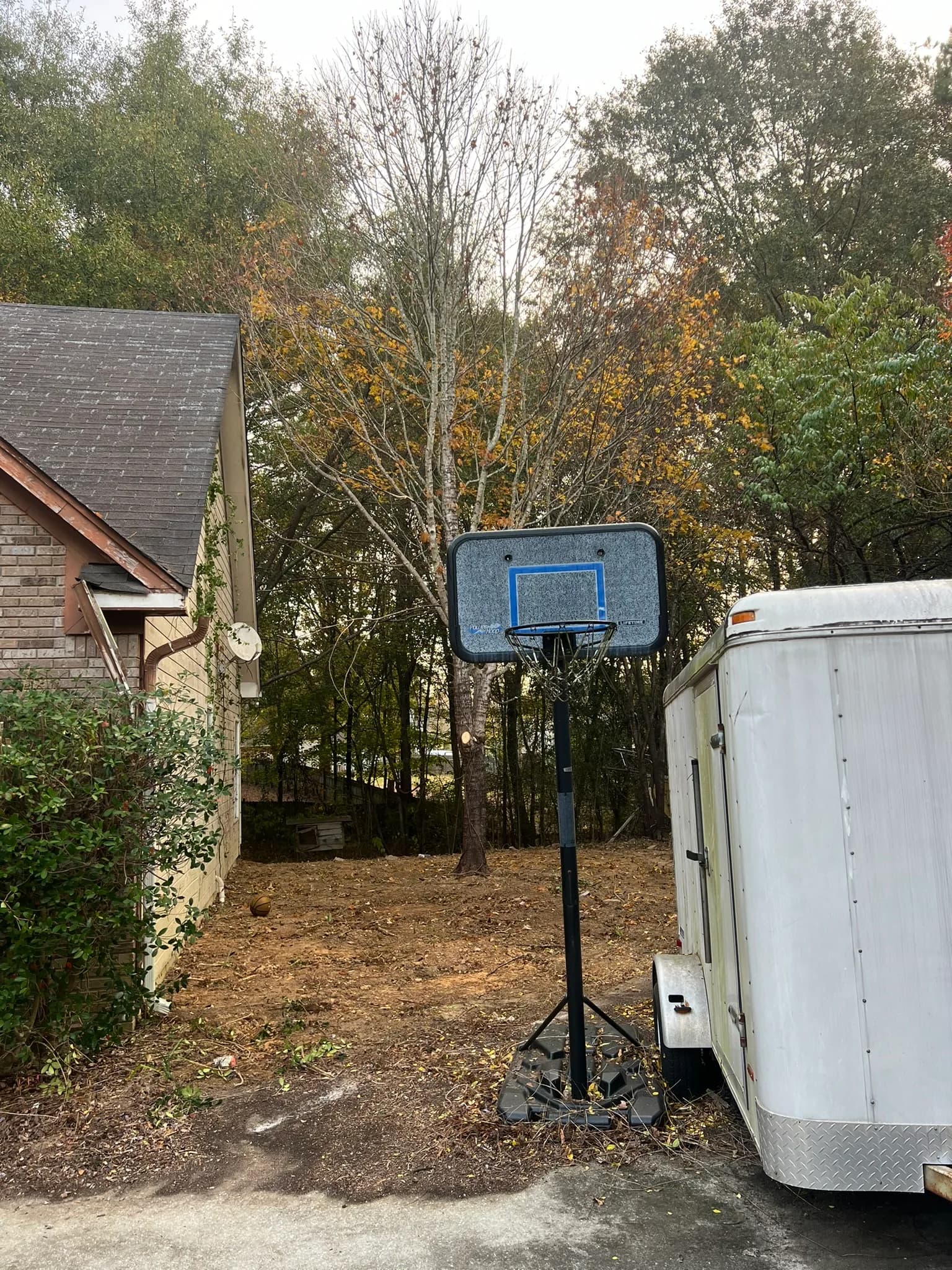 Residential Land Clearing and Landscaping Preparation — photo 34