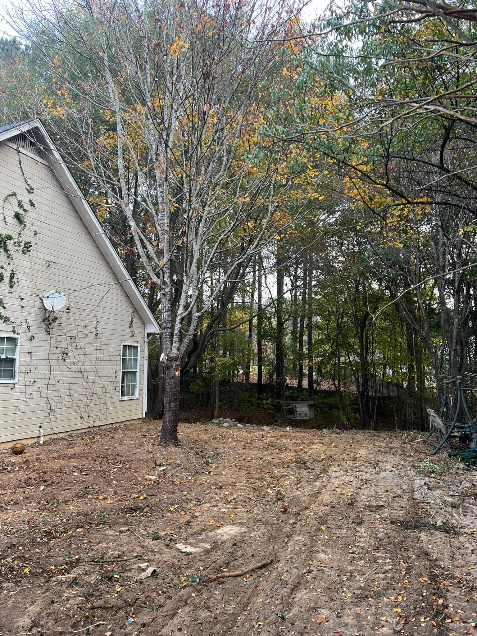 Residential Land Clearing and Landscaping Preparation — photo 25