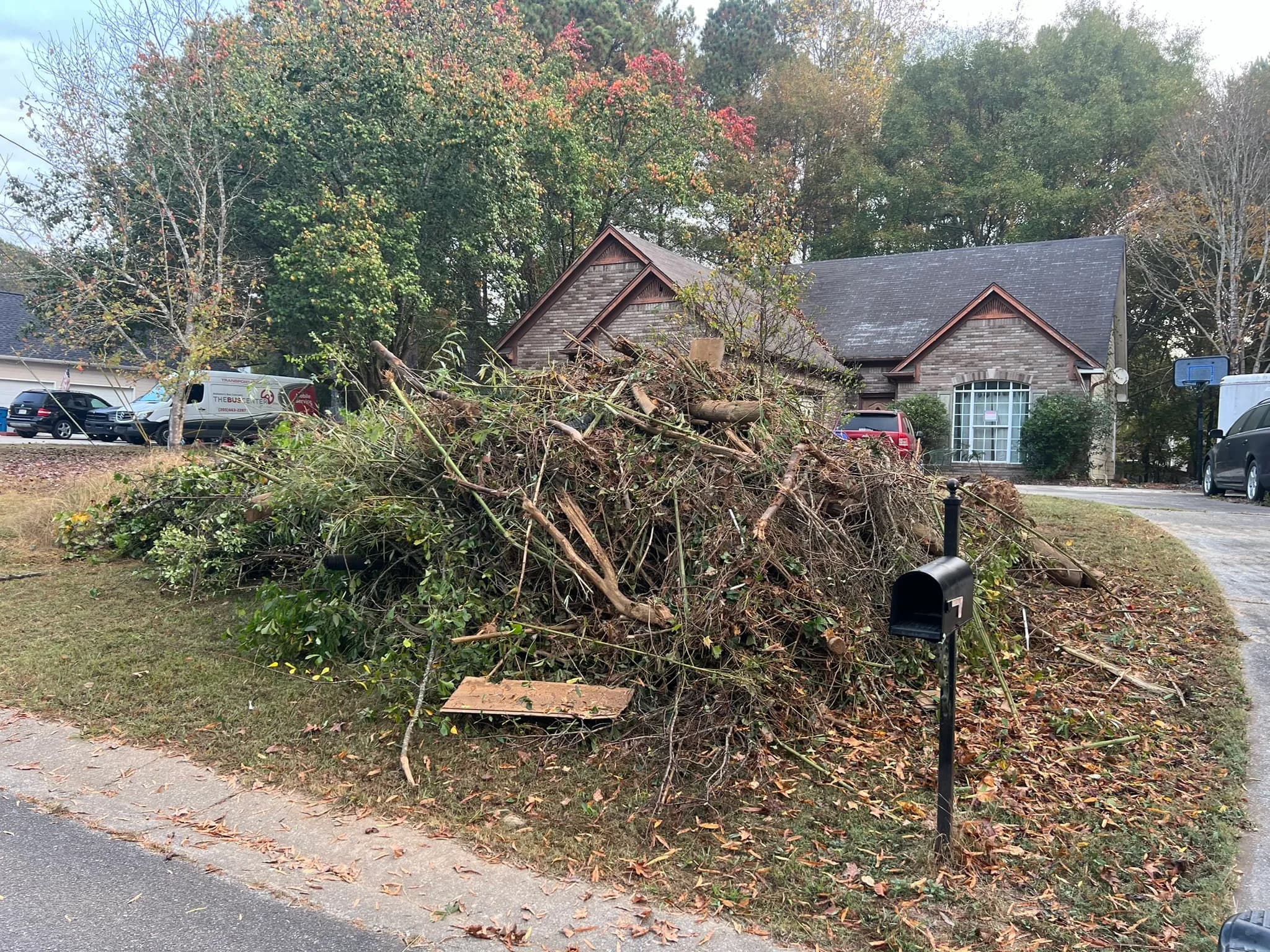 Residential Land Clearing and Landscaping Preparation — photo 8