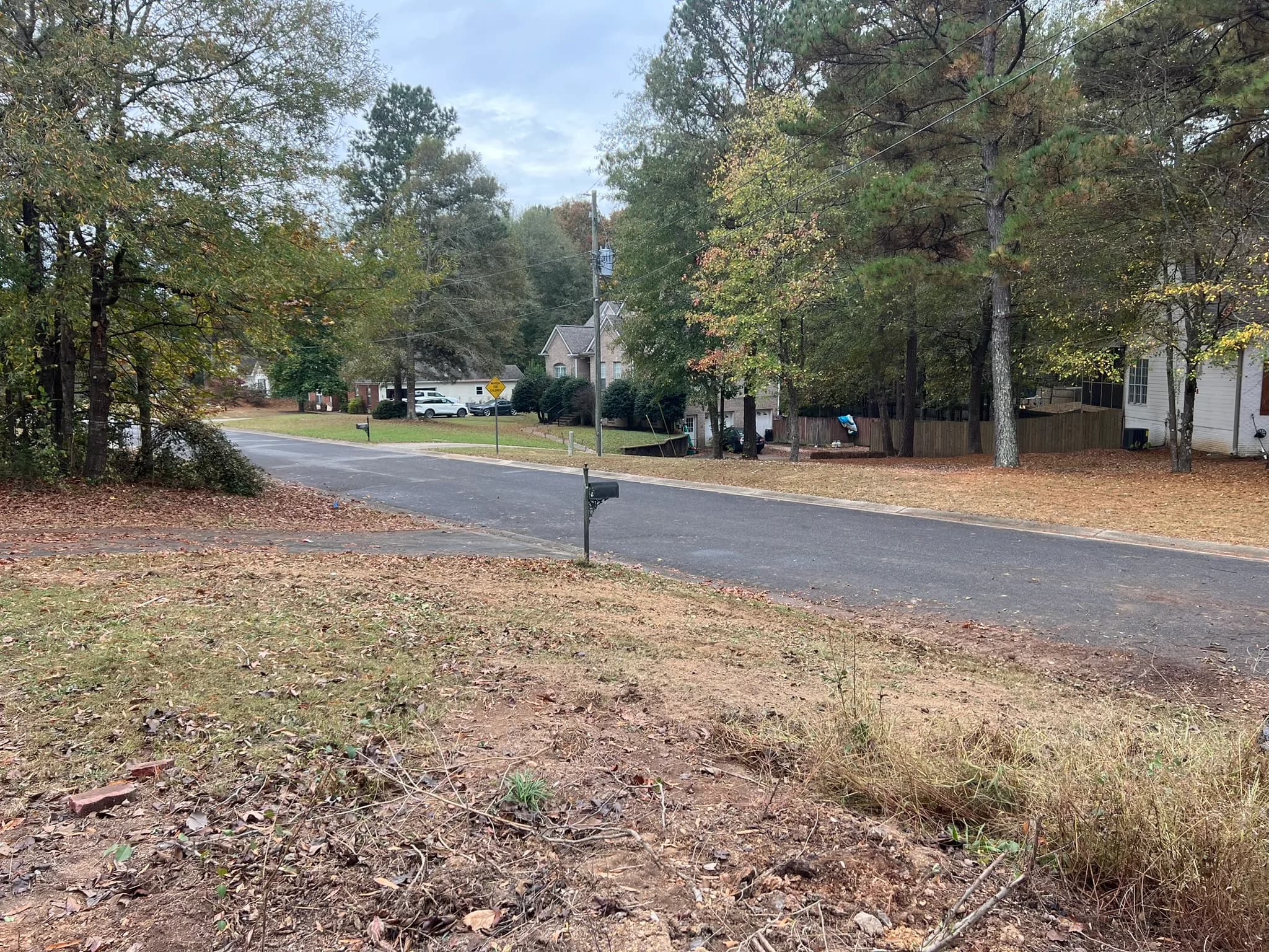 Residential Land Clearing and Landscaping Preparation — photo 2