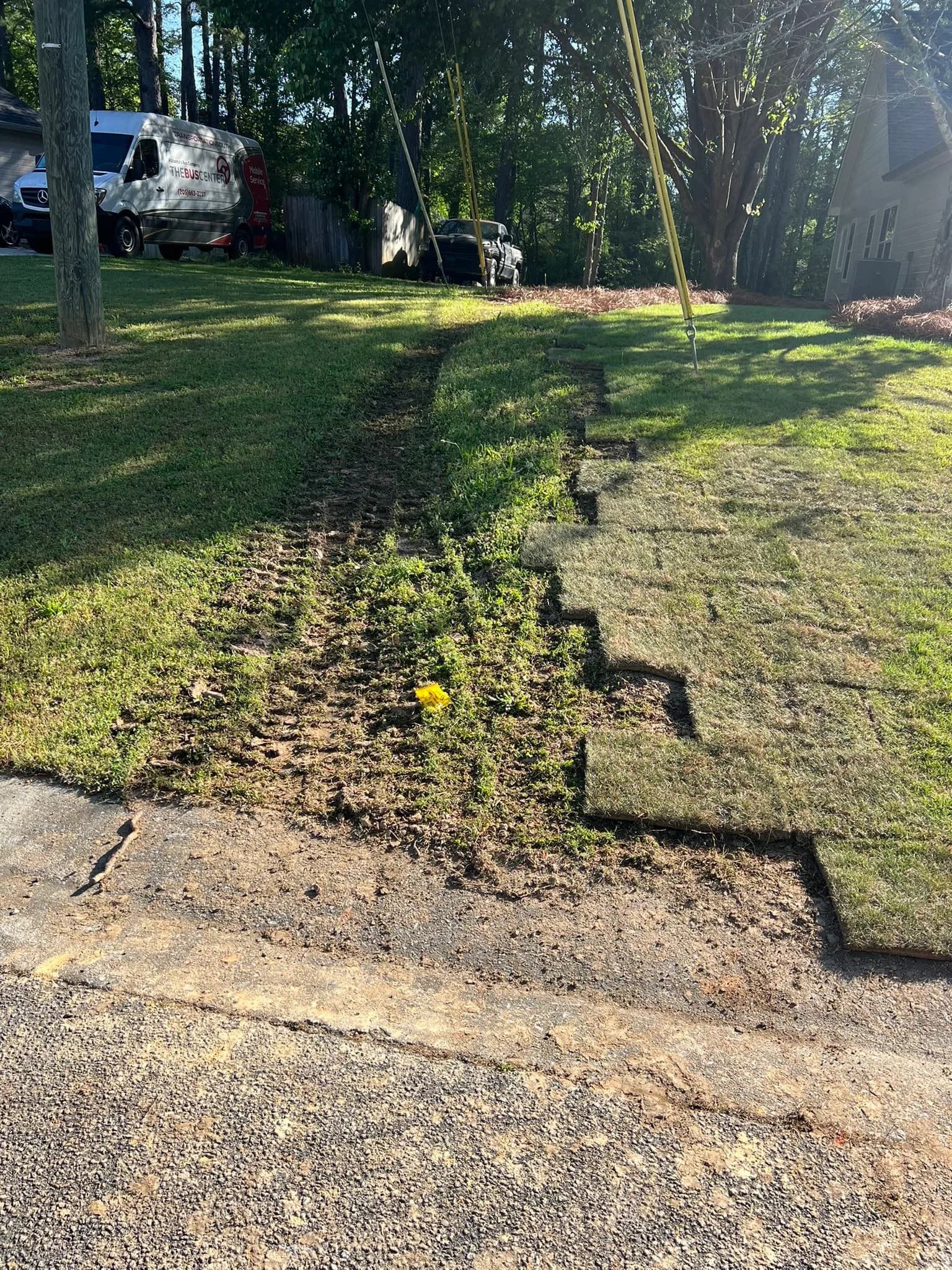 Residential Land Clearing and Landscaping Preparation — photo 22