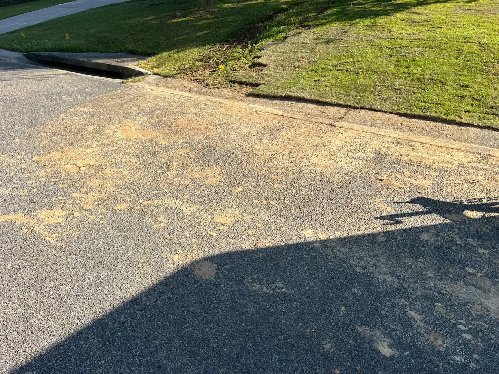 Residential Land Clearing and Landscaping Preparation — photo 19