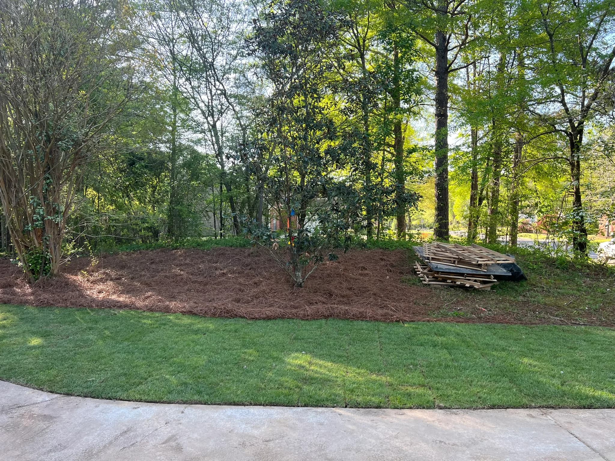 Residential Land Clearing and Landscaping Preparation — photo 5