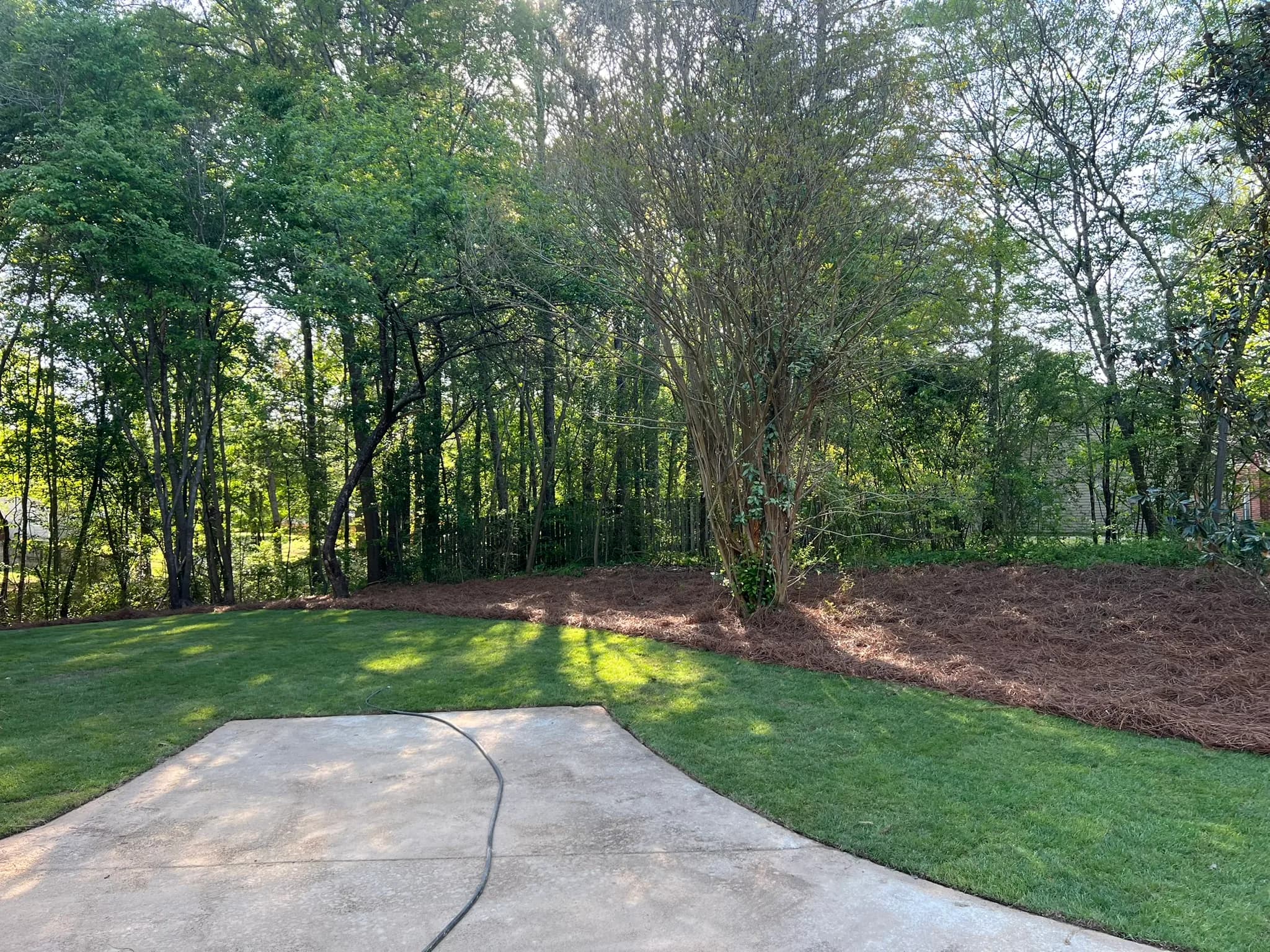 Residential Land Clearing and Landscaping Preparation — photo 27