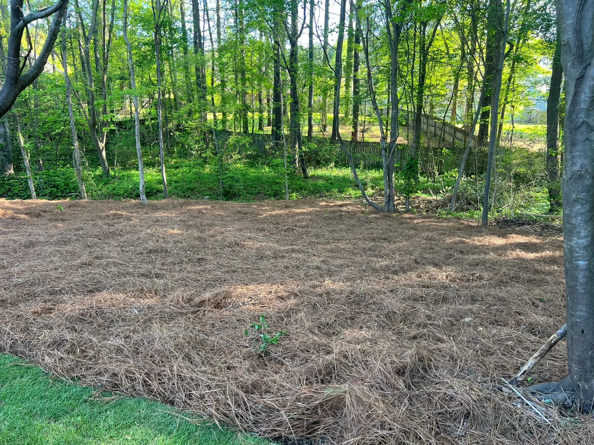 Residential Land Clearing and Landscaping Preparation — photo 41