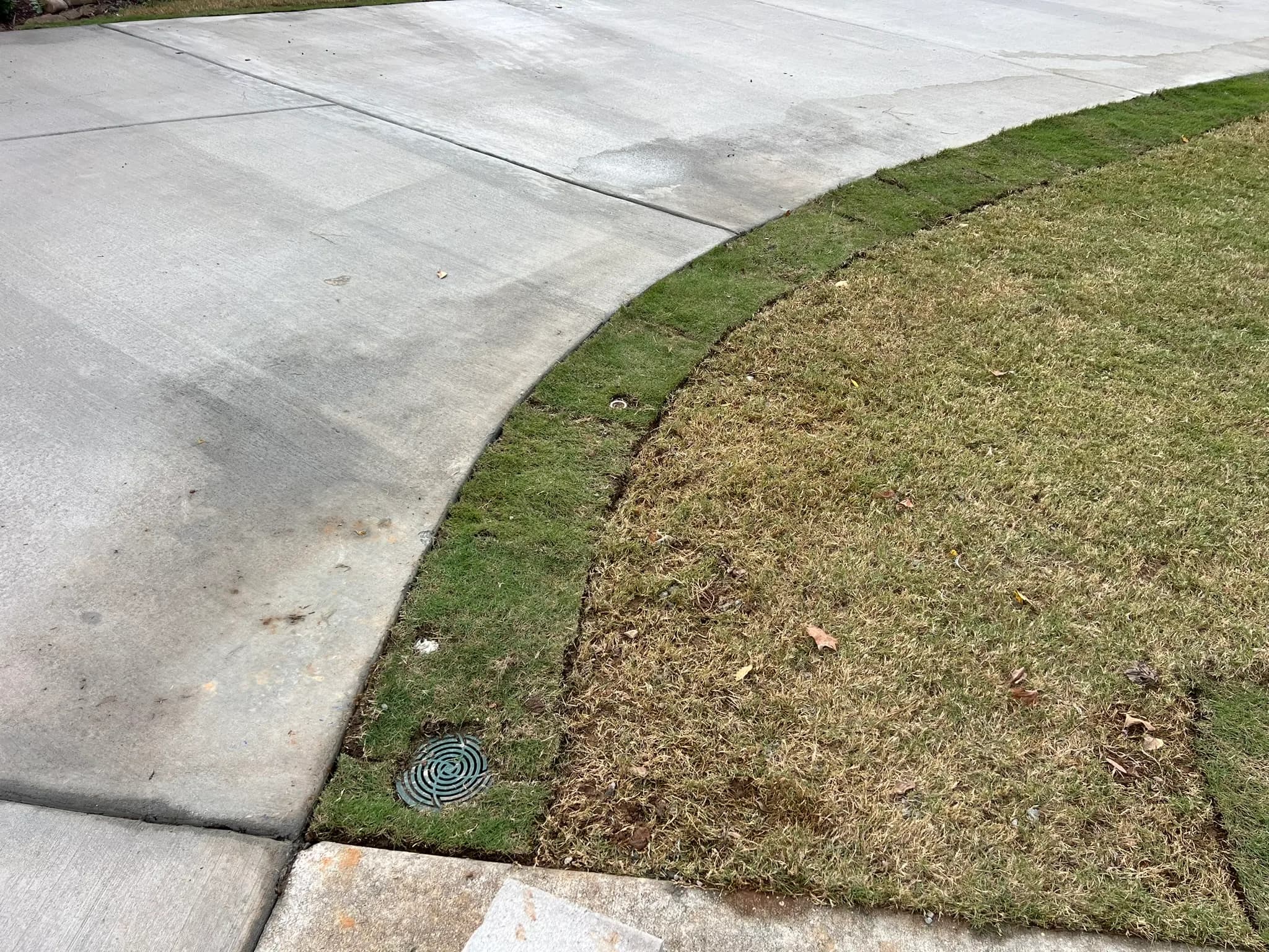 Driveway and Sod Installation Project — photo 6