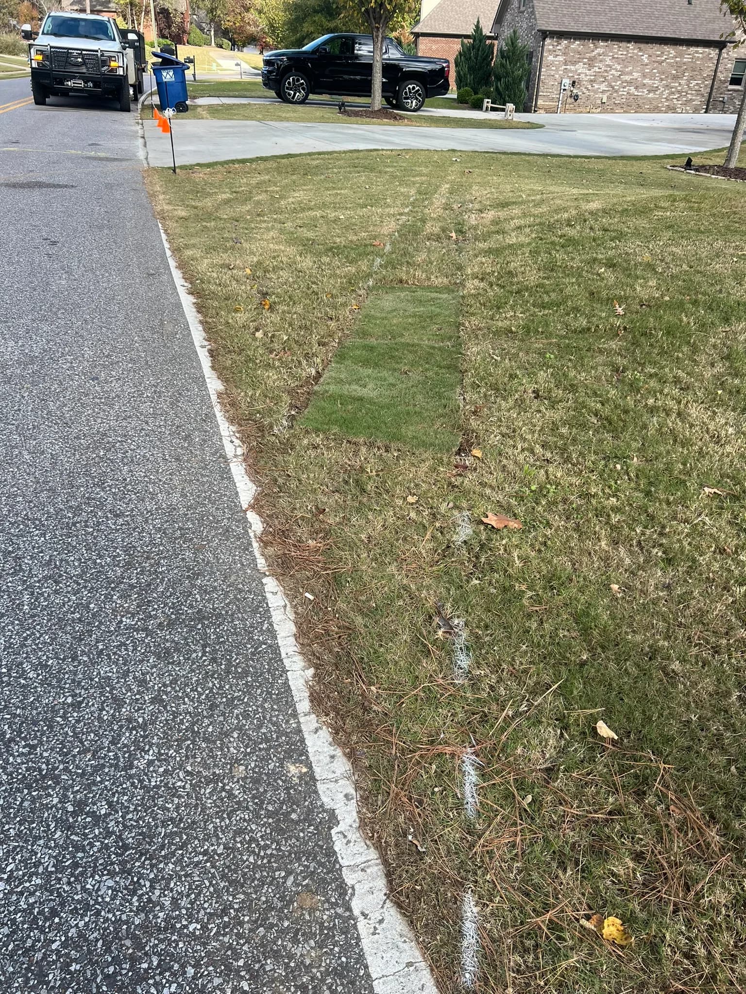 Driveway and Sod Installation Project — photo 11