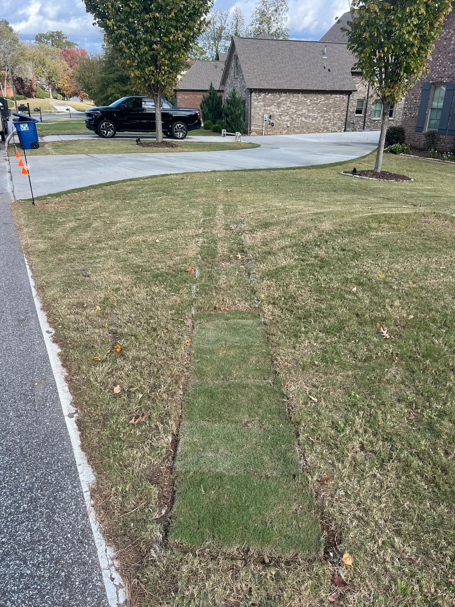 Driveway and Sod Installation Project — photo 5