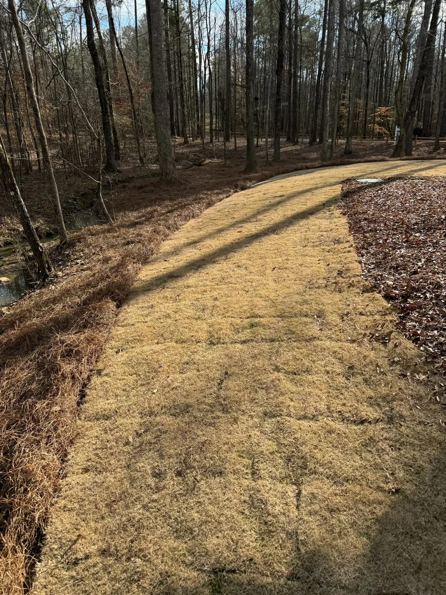 Comprehensive Land Preparation and Landscaping Project — photo 14