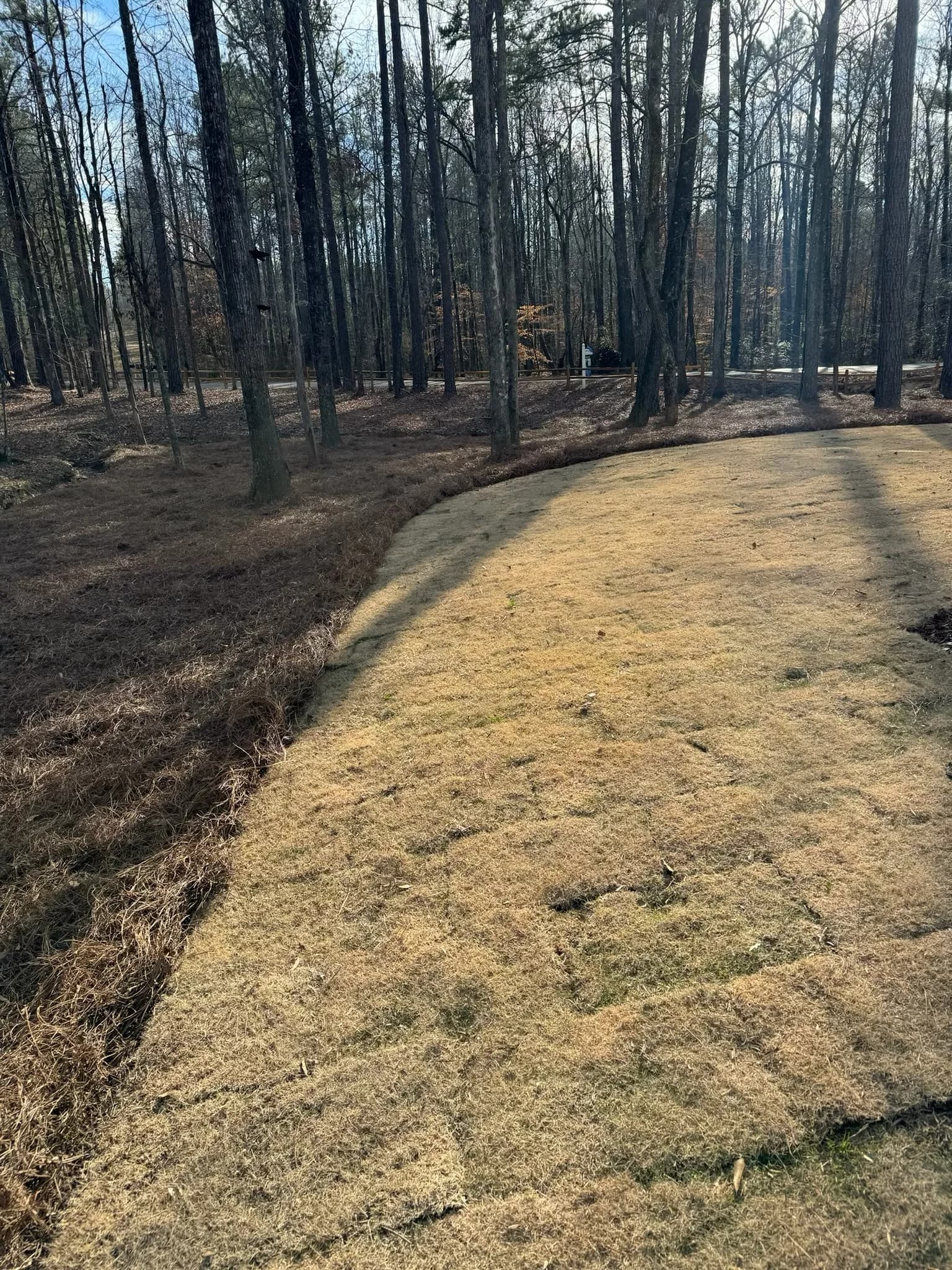 Comprehensive Land Preparation and Landscaping Project — photo 4