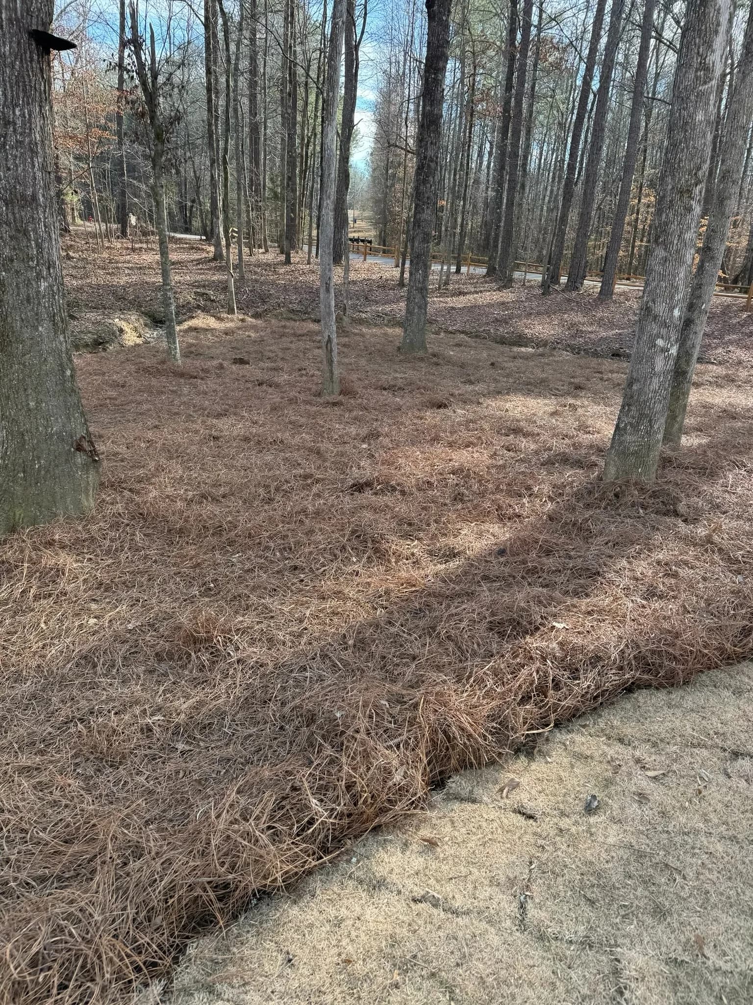 Comprehensive Land Preparation and Landscaping Project — photo 31