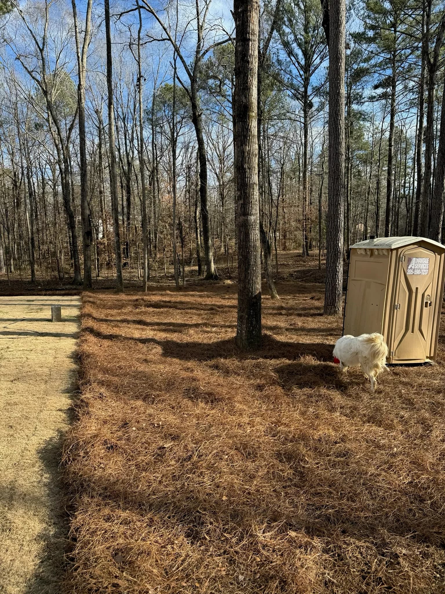 Comprehensive Land Preparation and Landscaping Project — photo 20