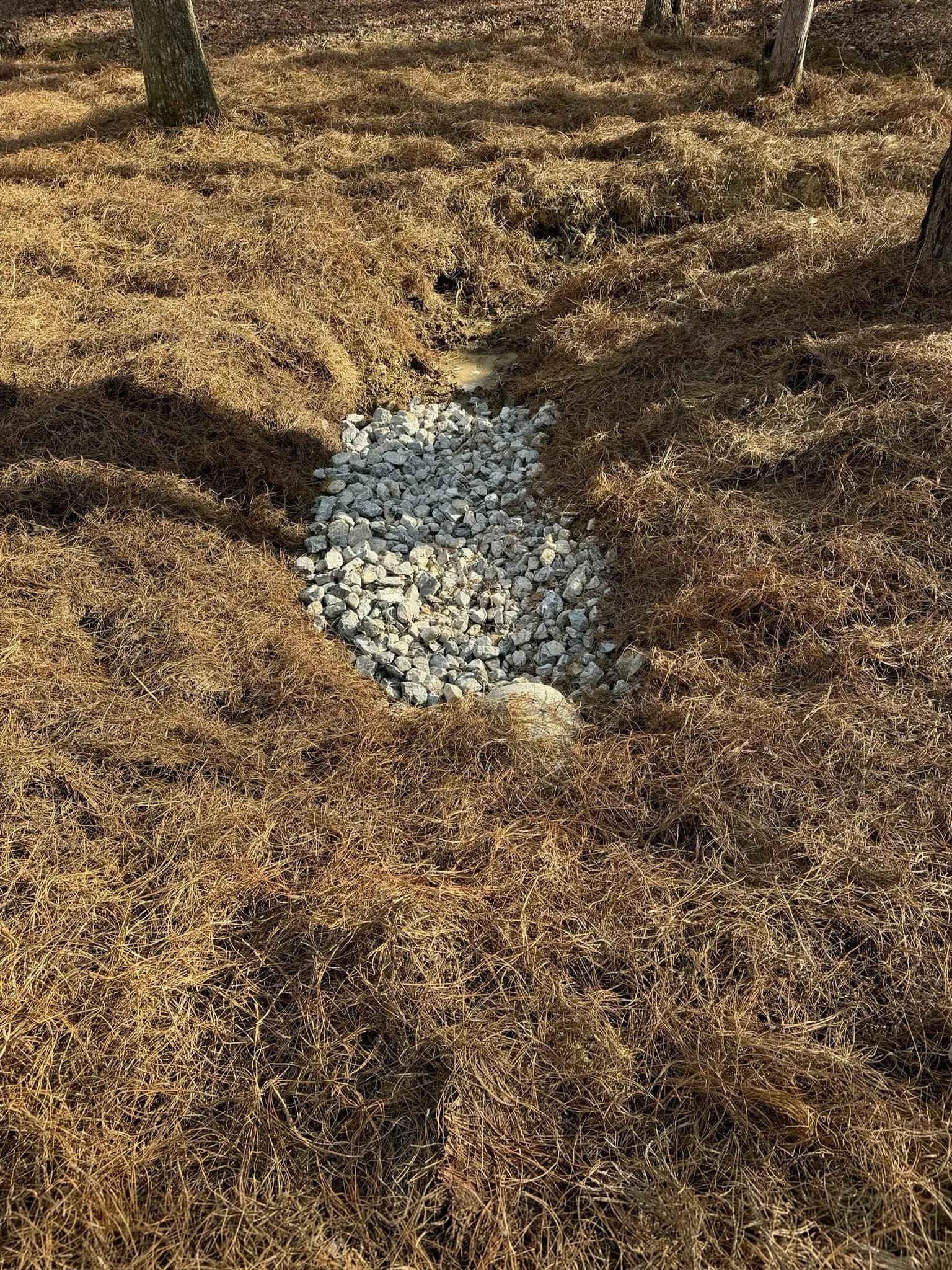Comprehensive Land Preparation and Landscaping Project — photo 40