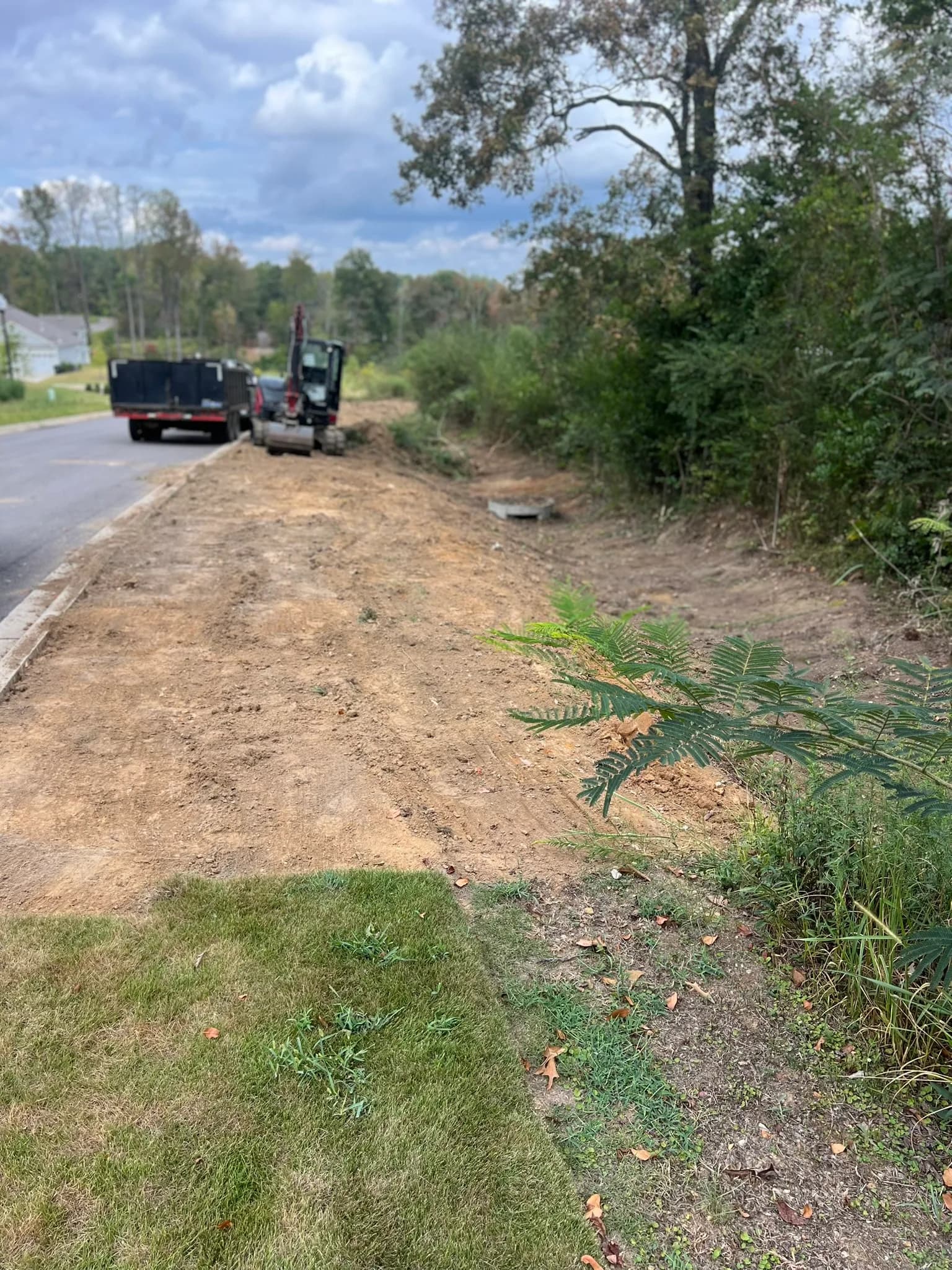 Comprehensive Land Clearing and Drainage in Alabama — photo 2