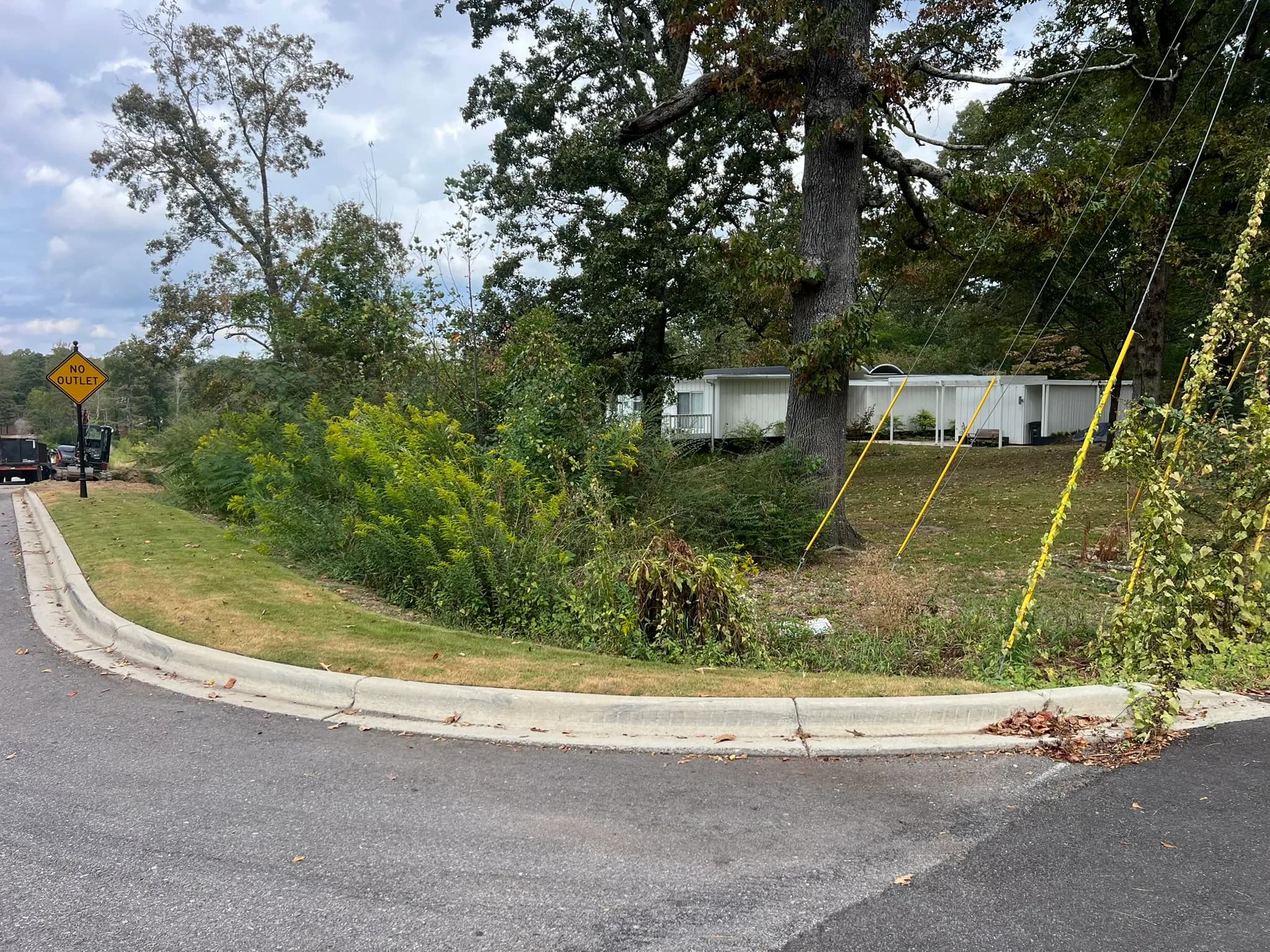 Comprehensive Land Clearing and Drainage in Alabama — photo 3