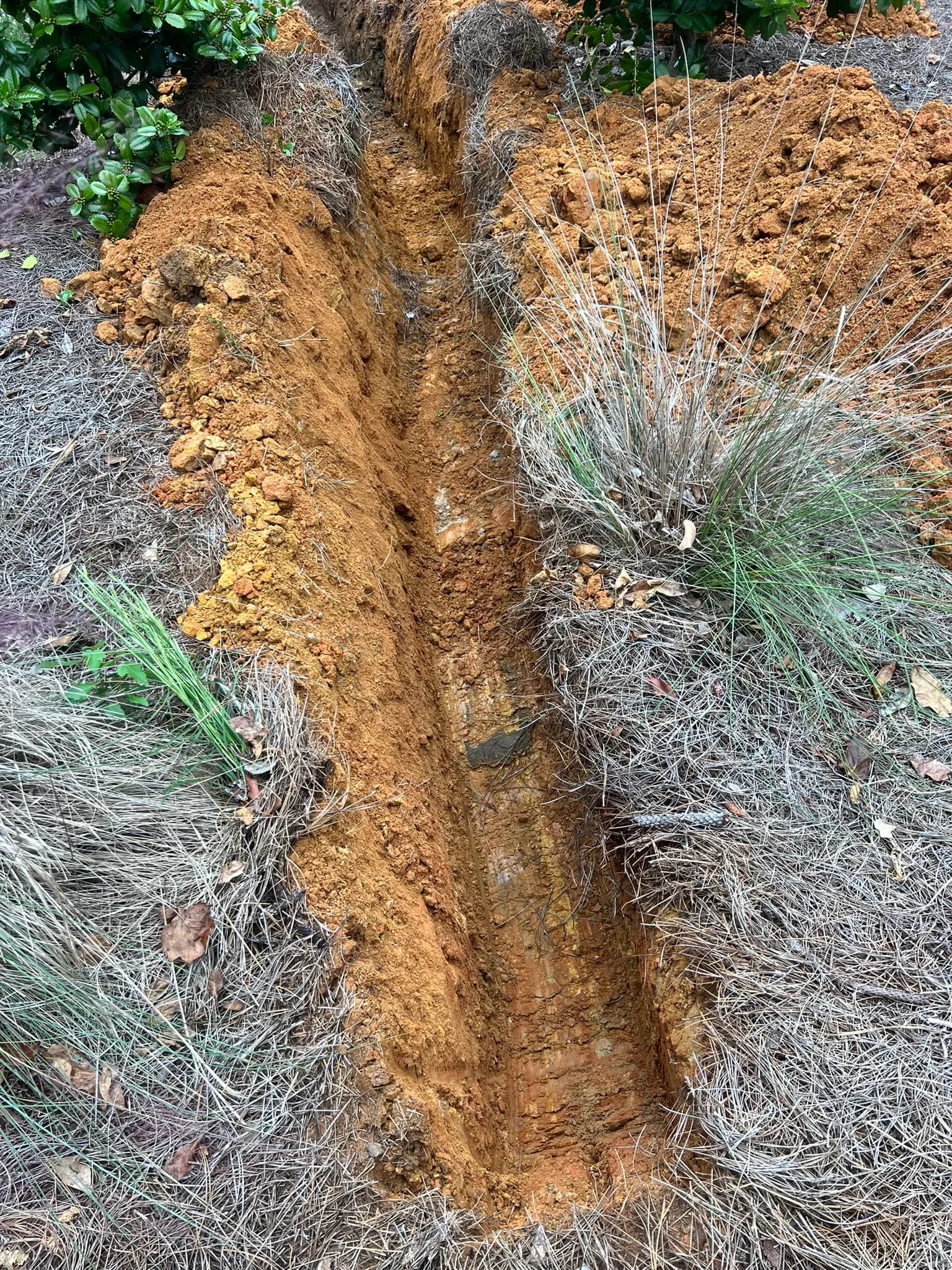 Comprehensive Land Clearing and Drainage in Alabama — photo 4