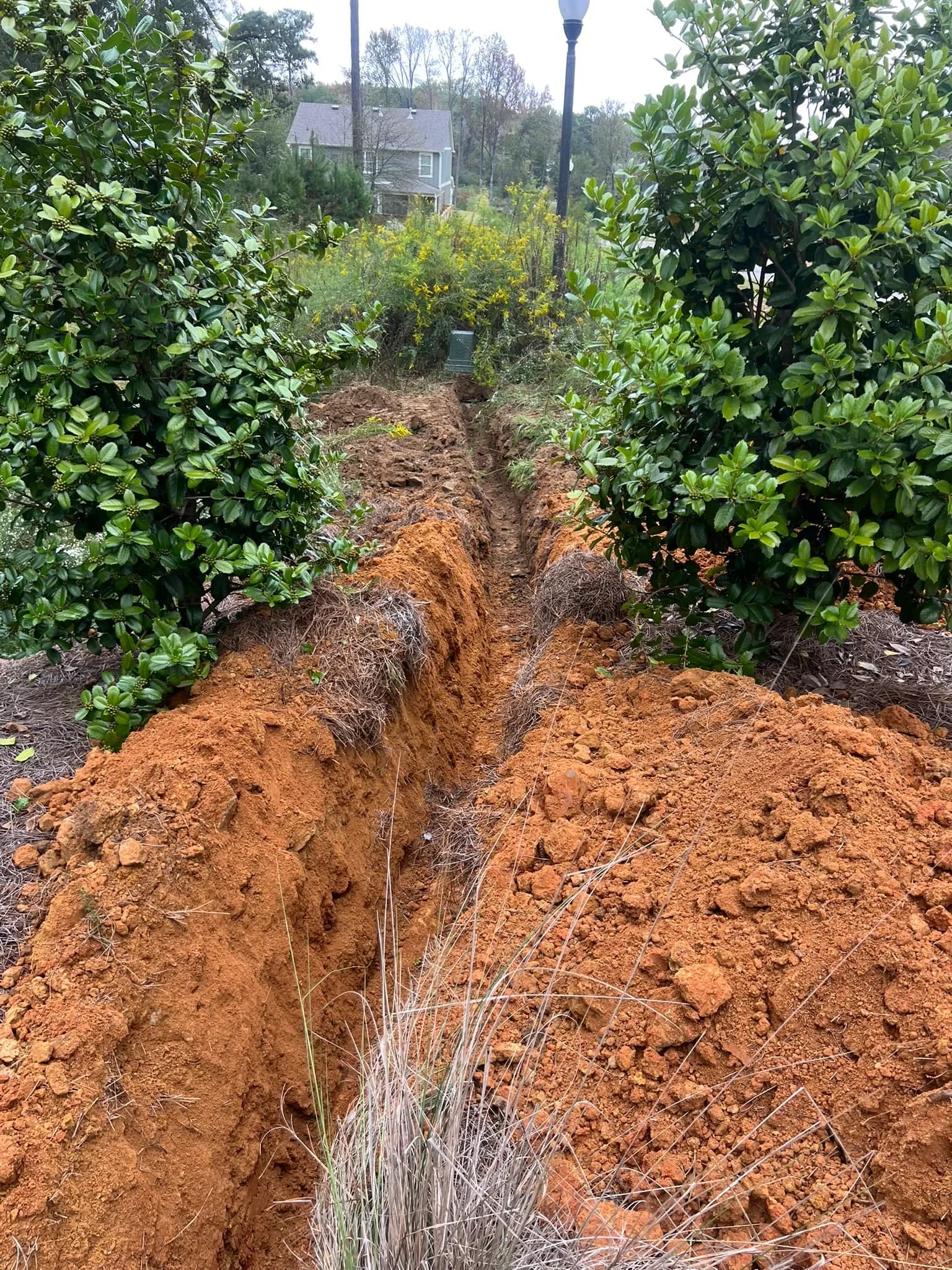 Comprehensive Land Clearing and Drainage in Alabama
