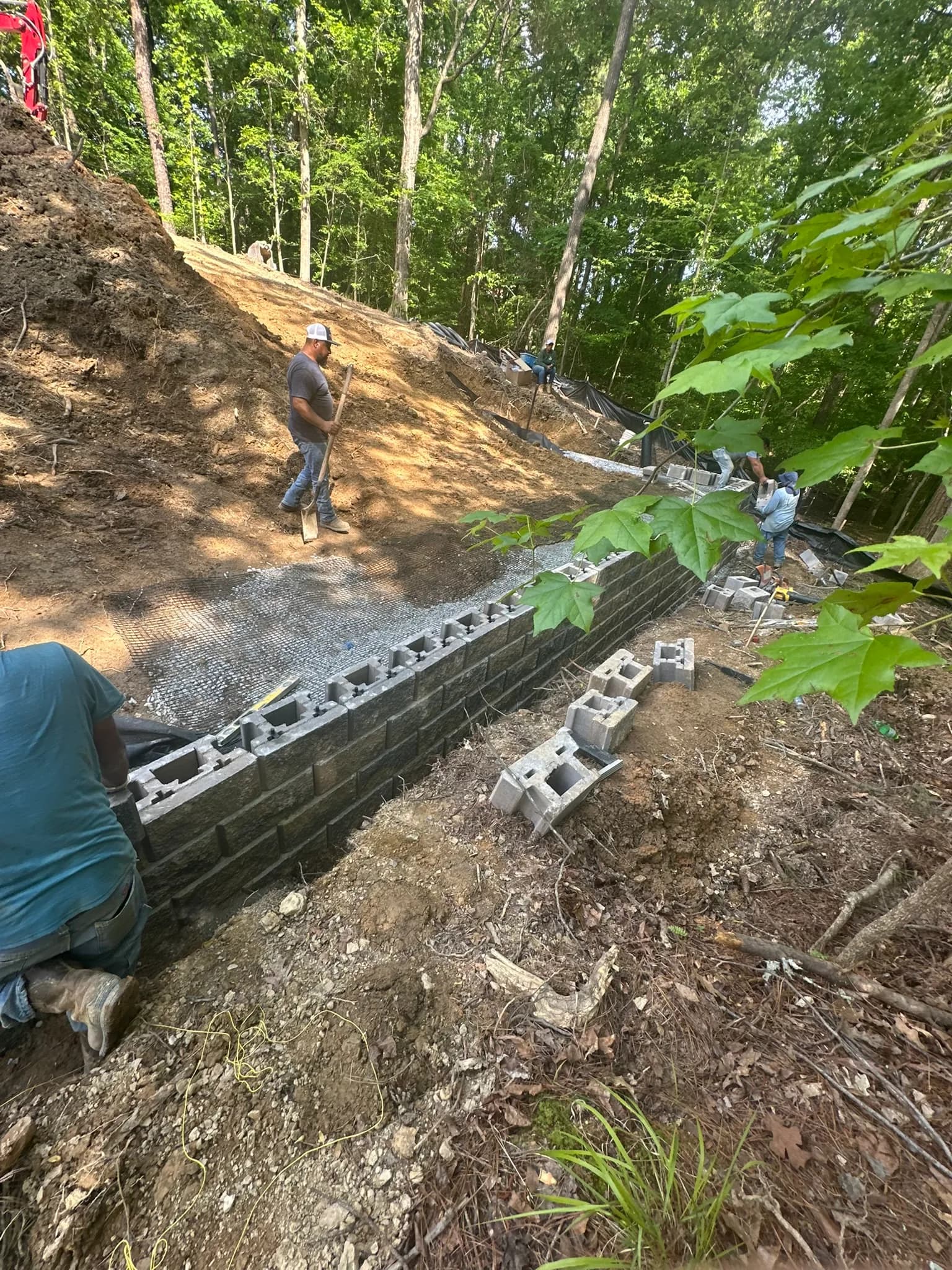 Backyard Clearing, Grading & Site Development — photo 7