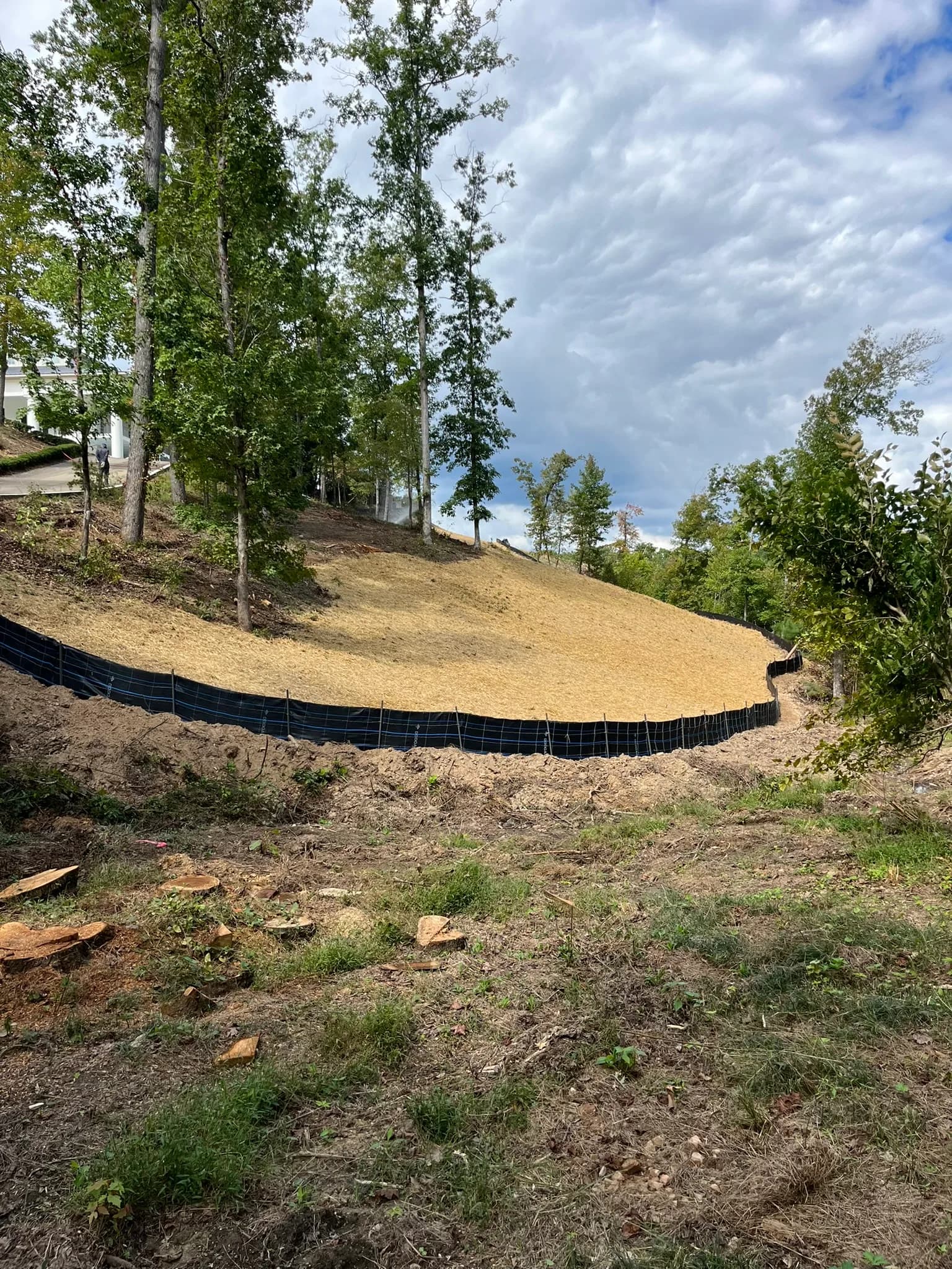 Land Clearing and Erosion Control Preparation — photo 7